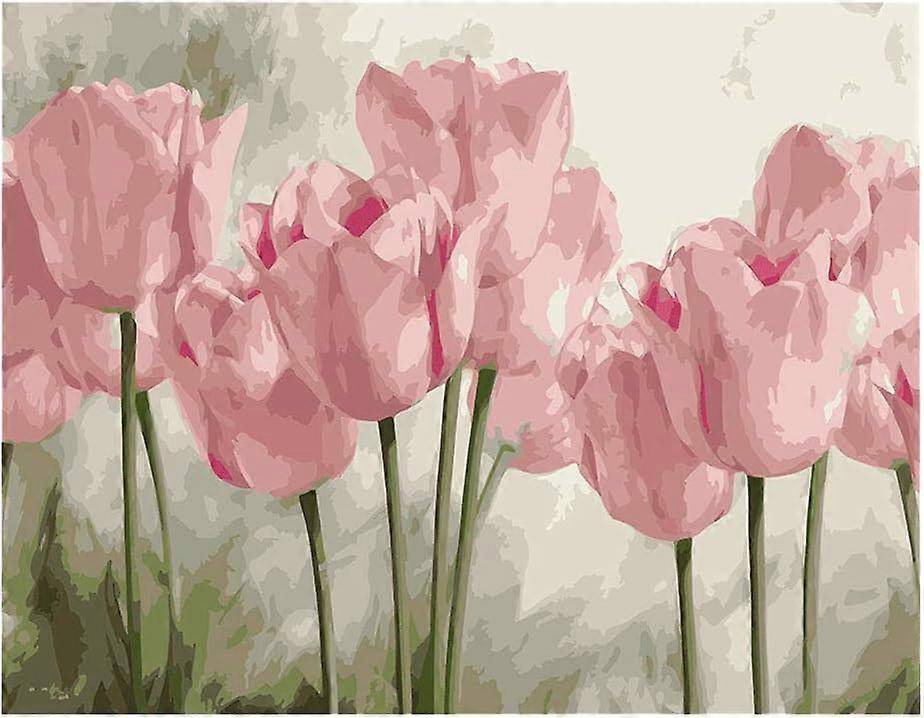 Paint by numbers Paint By Numbers Tulip Acrylic Kit