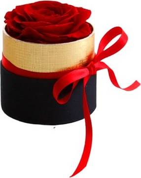 Sodial Romantic Level A Eternal Rose In Box