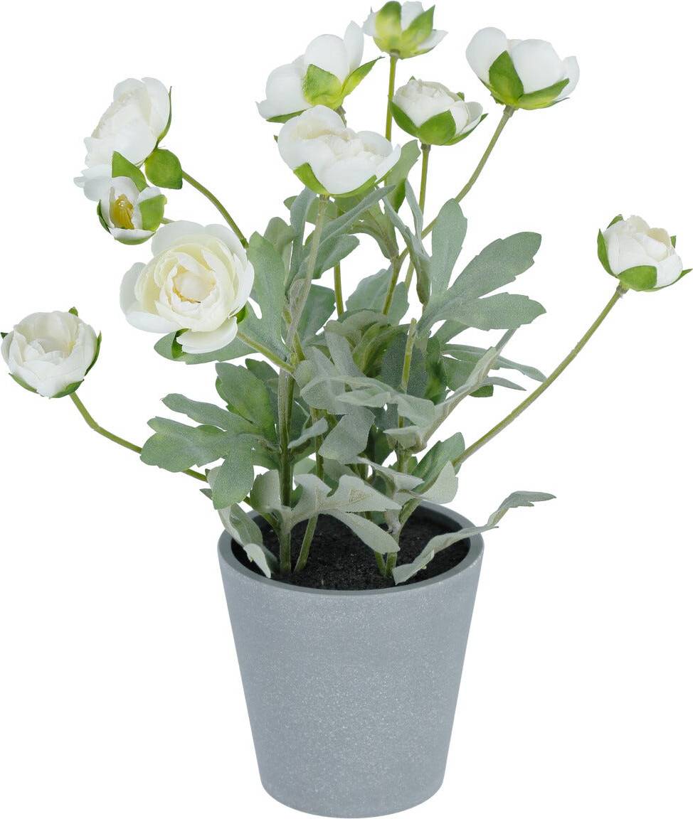 Konstväxt Ranunkel 34 cm