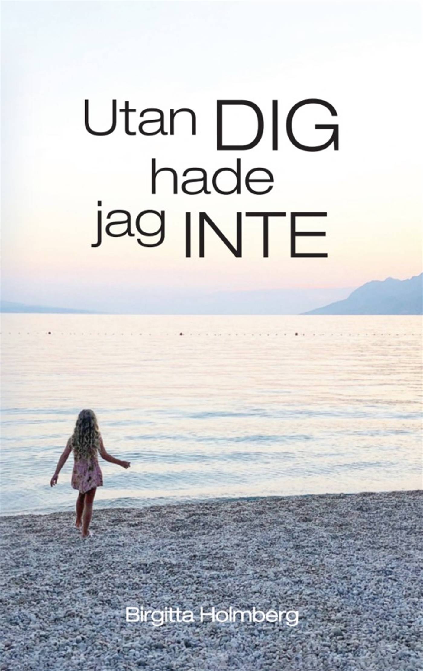 Utan Dig Hade Jag Inte E-bok