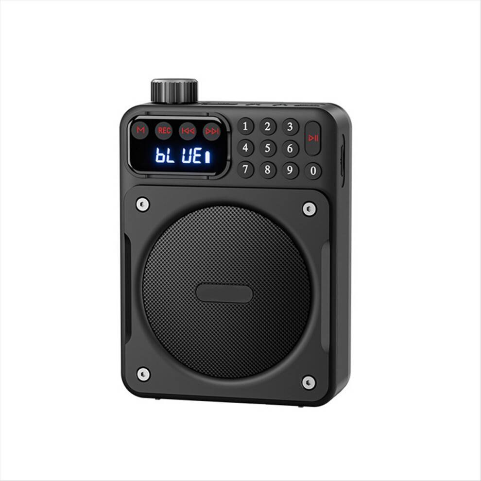 Mini Portable Removable FM Radio