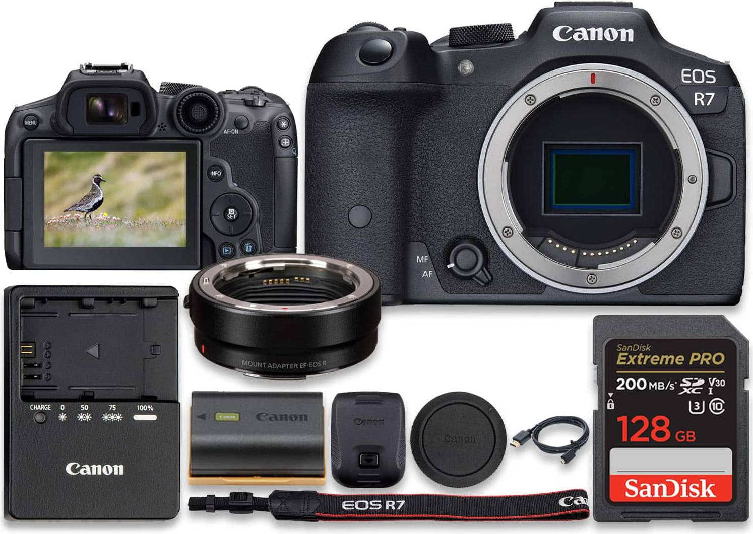 Eos r7 Canon EOS R7 Mirrorless Camera With Mount Adapter