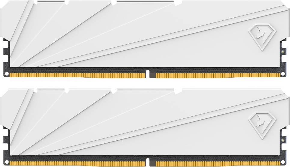 Netac DDR4 3200MHz 32GB 2-in-1 RAM Computer Desktop Memory Kit