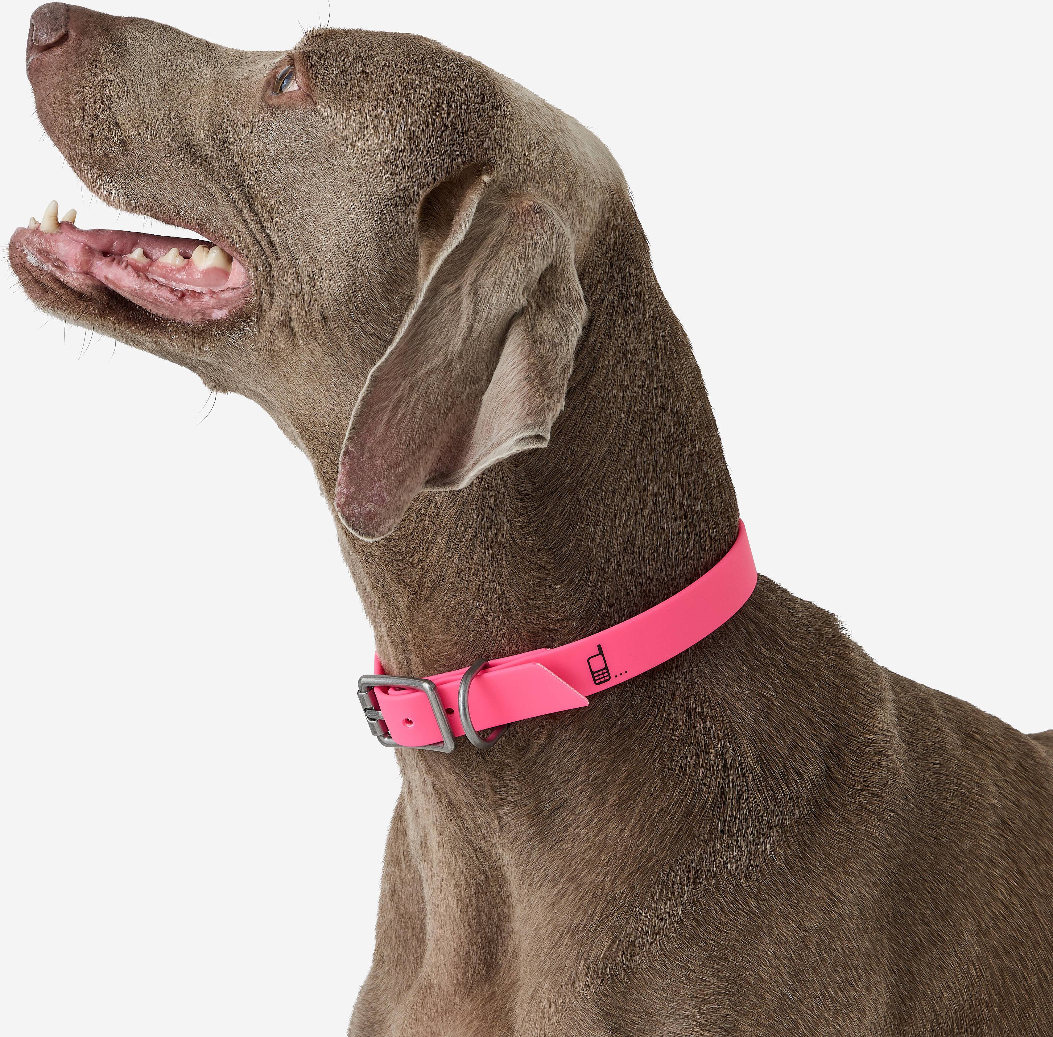 Collar Perro 500 Rosa Fluorescente