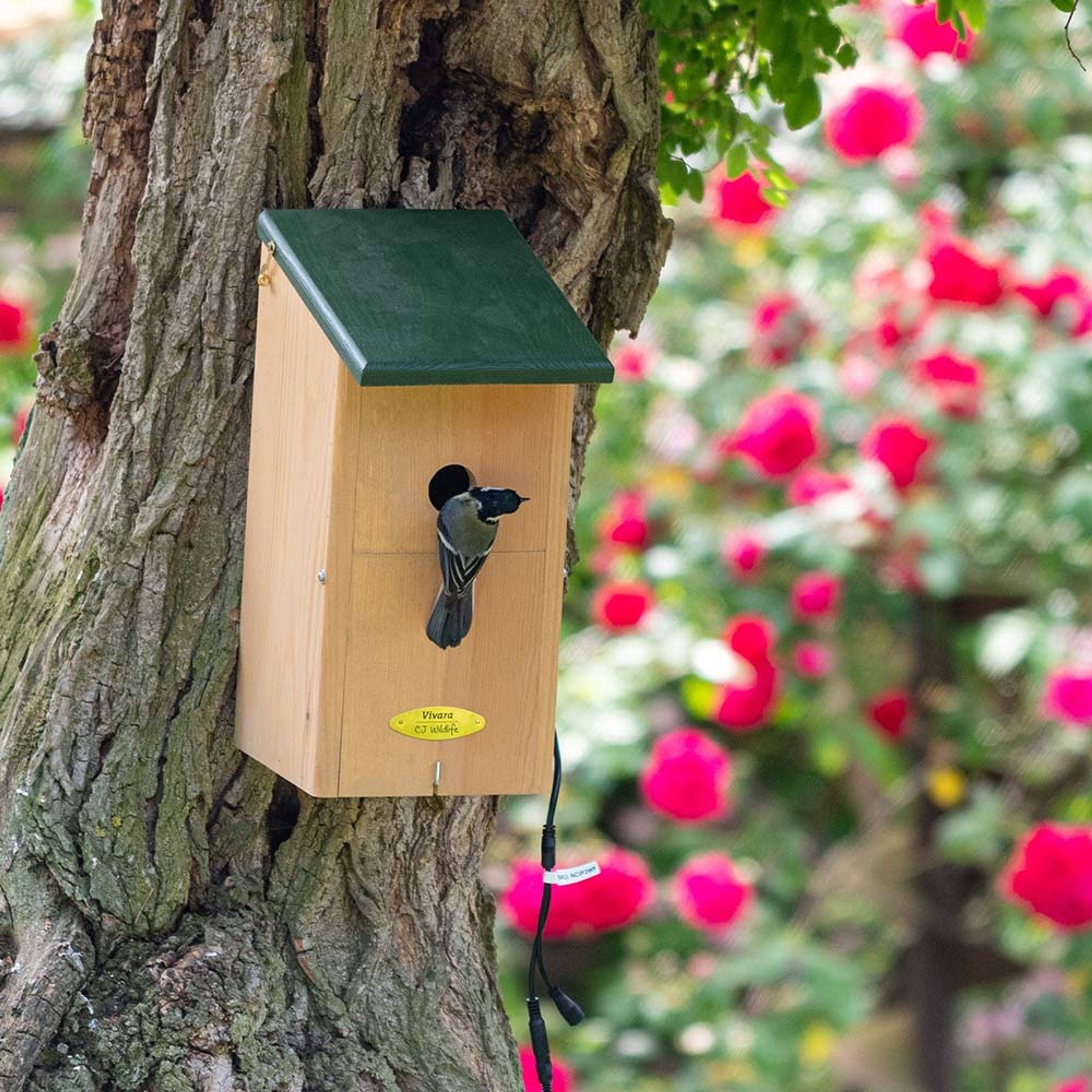 Nest camera Nest Box with Camera Bundle
