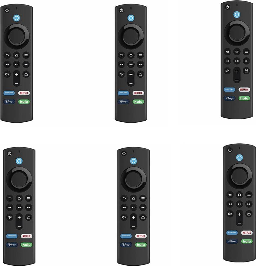 Typecat Replacement Voice Remote Control L5B83G