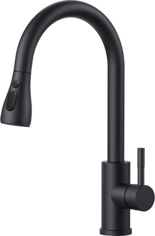 Forious Kitchen Mixer Tap With Pull Out Sprayer