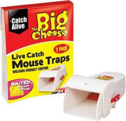 Mouse Trap Live Catch Rtu 6Pc