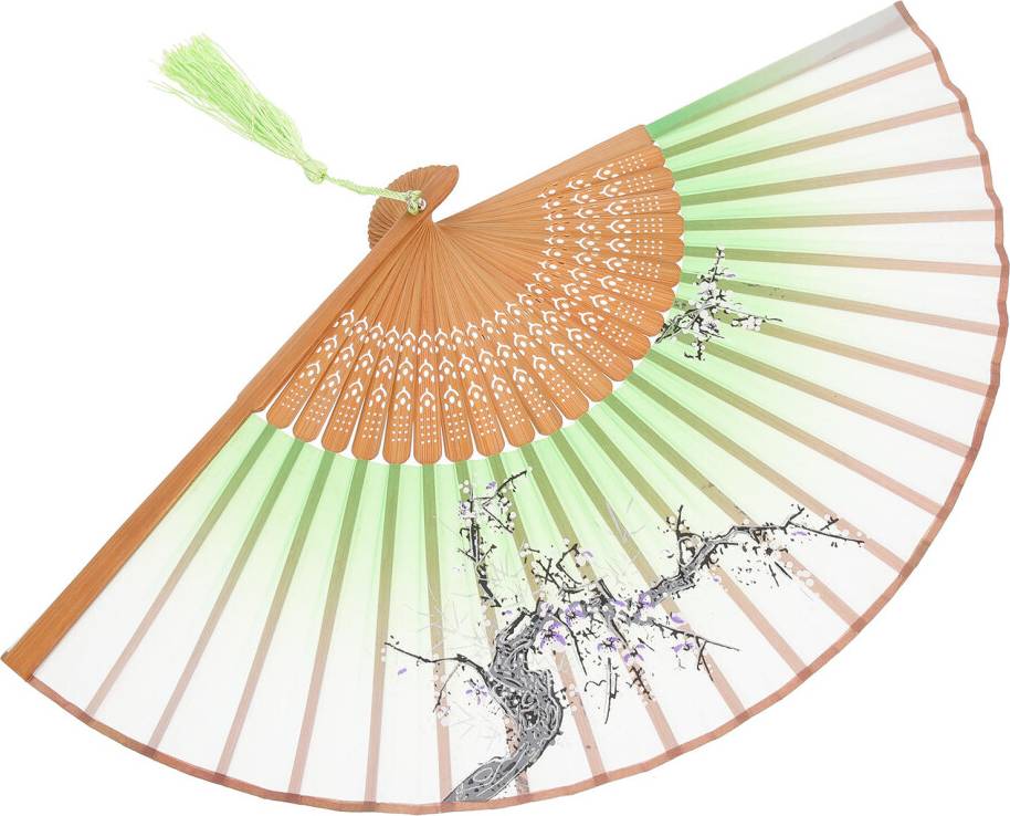 Ohphcall 2Pcs Multi Color Bamboo Dancing Fan