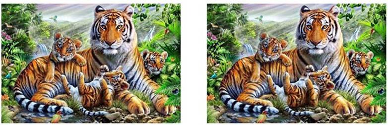 Tlily 2X Diamond Rhinestone Painting Kit