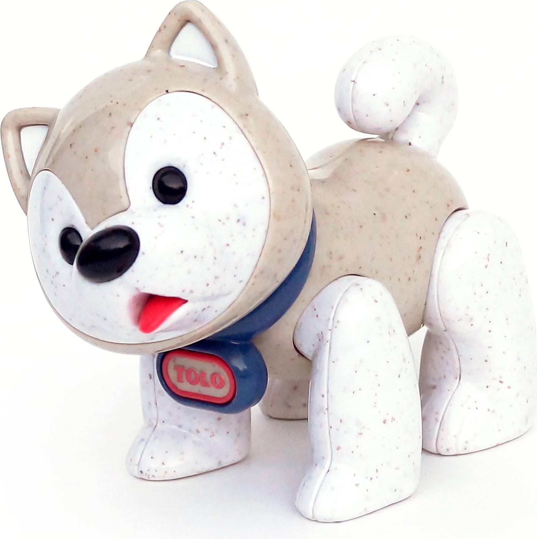Husky Hund Bio First Friends