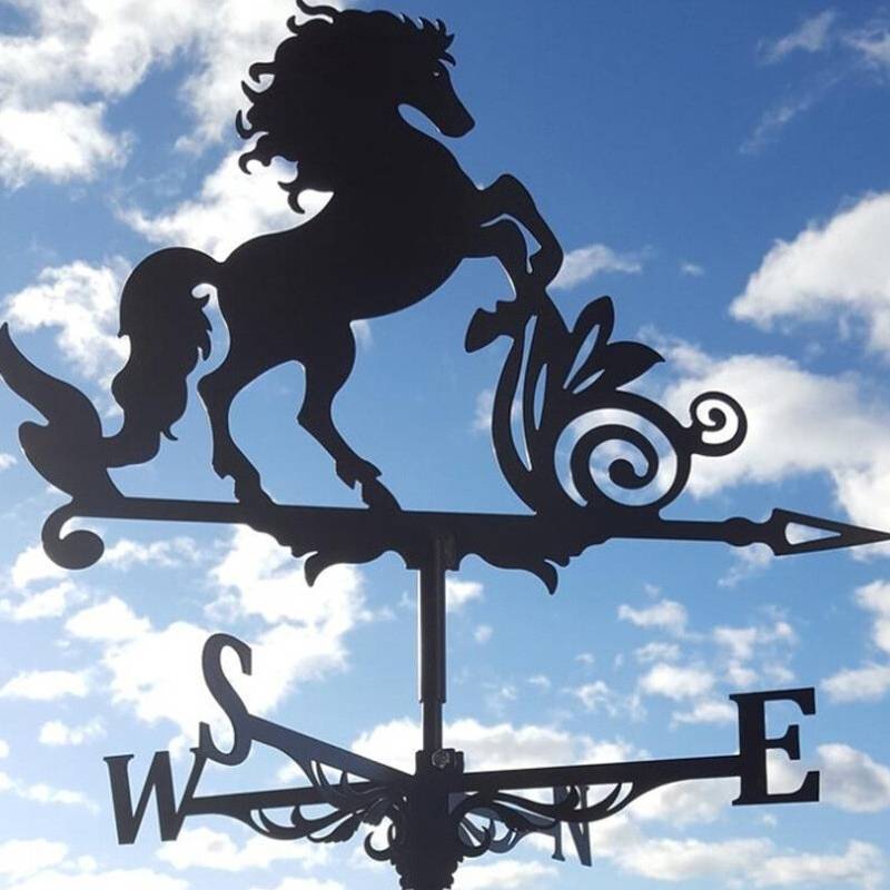 BGHONE Metal Weathervane Witch Iron Sea Rover