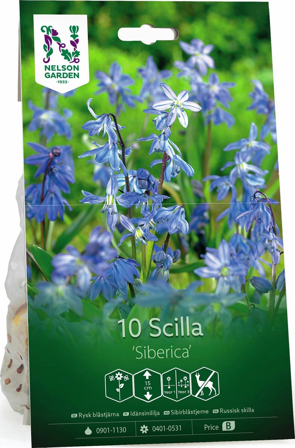 Nelson Garden Rysk Blåstjärna