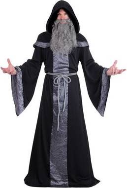 Fun Costumes Regal Dark Court Wizard Robe Costume