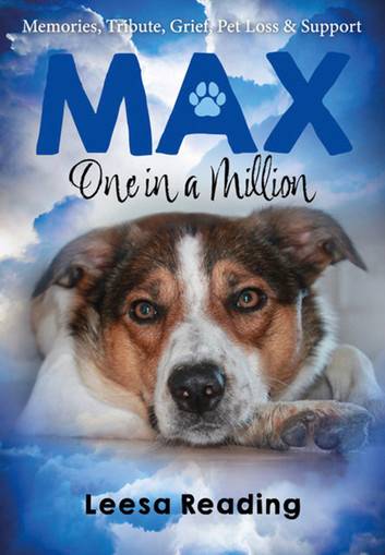 One million Max One In A Million