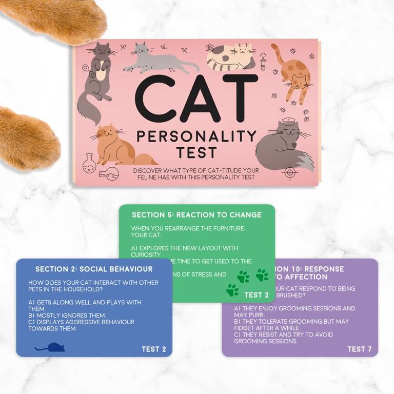 Personality Test Card Pack