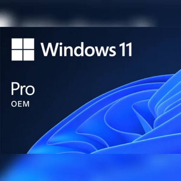 Windows 11 key Microsoft Windows 11 Professional OEM Key ROW