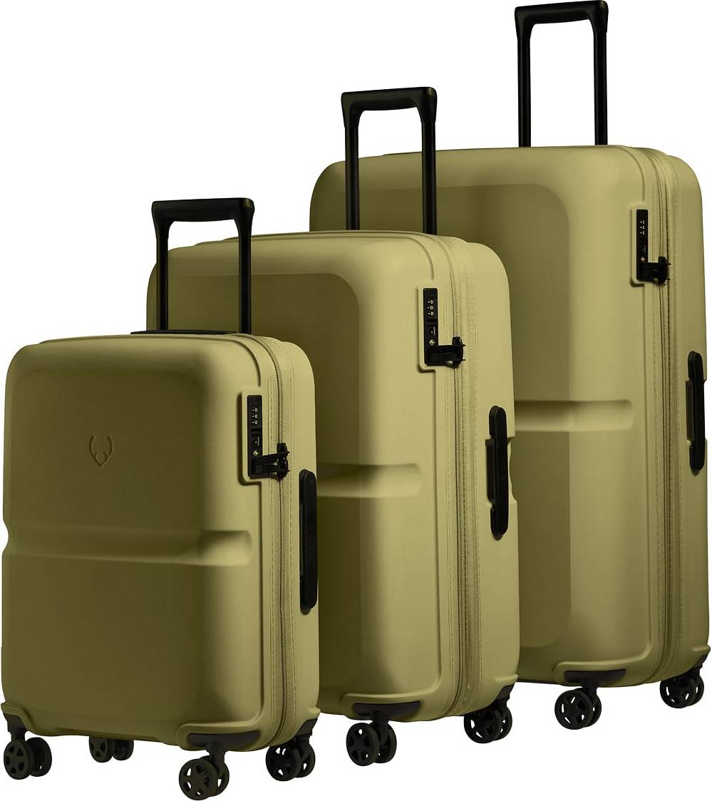 Antler Suitcase Set In Reed Green Single Stripe