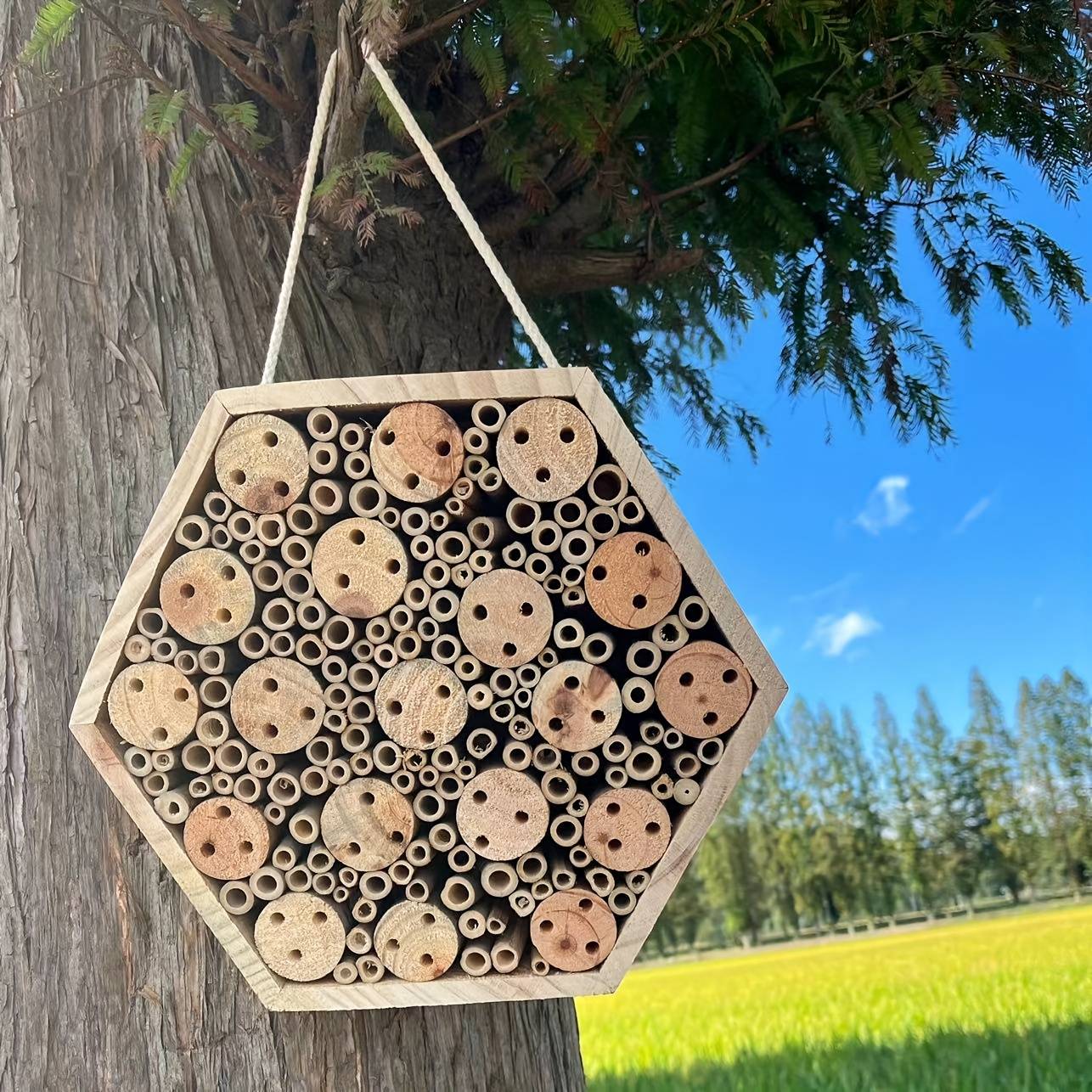 Temu Wooden Bee And Insect House With Hanging Rope