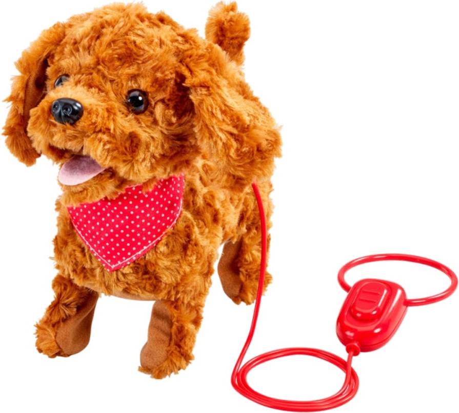 Happy Pets Walk Along Cockapoo Puppy