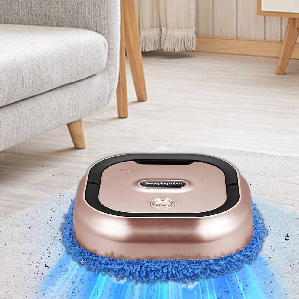Automatic Mopping Robot with Scrubbing Function