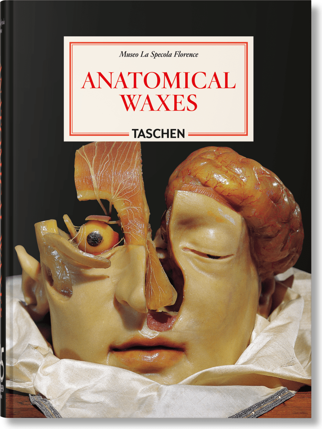Anatomical Waxes. 45th Ed.
