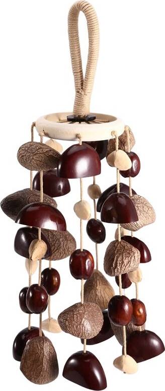 Torribaly Seed Shell Shaker Percussion Instrument 4 Kinds