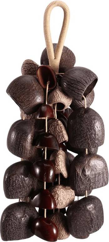Torribaly Seed Shell Shaker Percussion Instrument