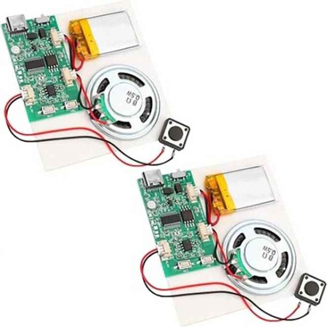 Torribaly Programmable Sound Recorder Module 2PCS
