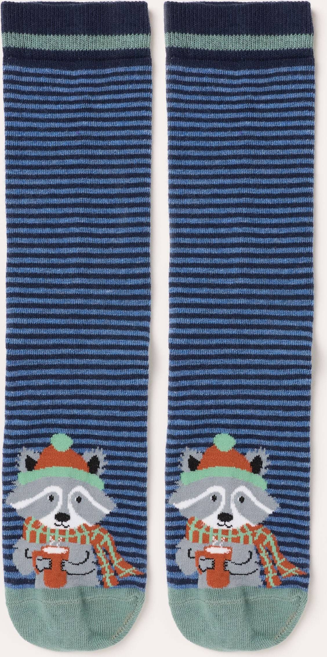 Blue Racoon Socks