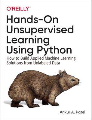 Hands-On Unsupervised Learning Using Python (Häftad, 2019)