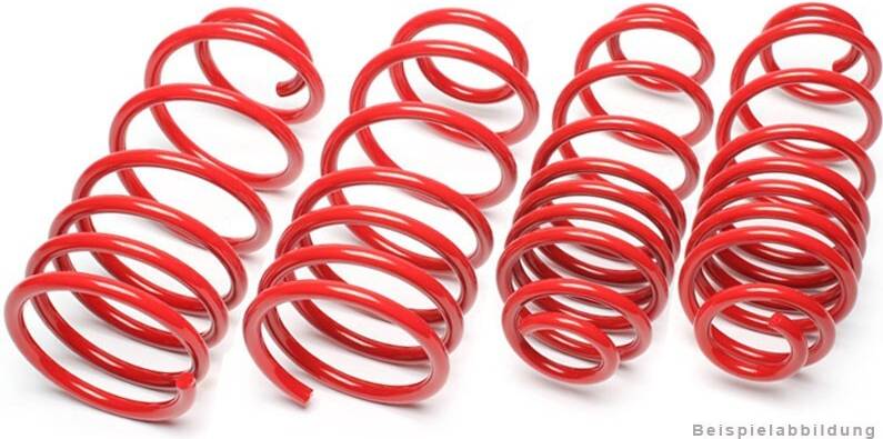 Lowering Spring 30 25mm