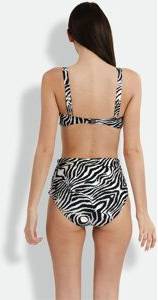Zebra Chara Bottom - Multicolour