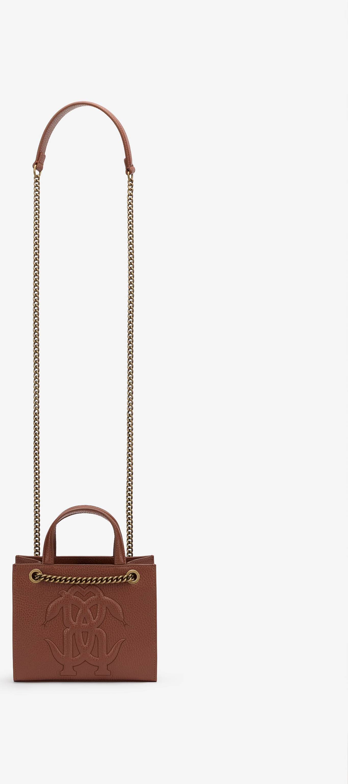 Roberto Cavalli Mini Shoulder Bag With Monogram Rc - Brown