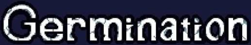 Germination PC Steam Key