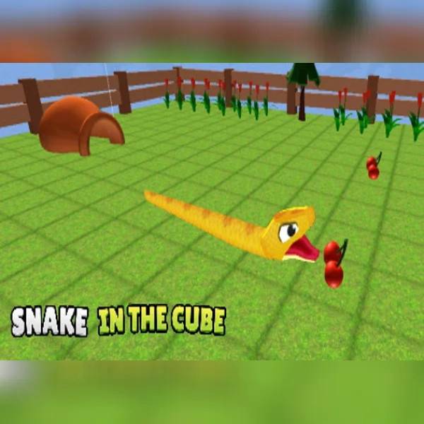 Snake In The Cube PC Steam Key