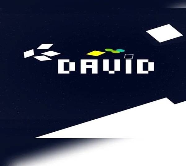 David PC Steam Key