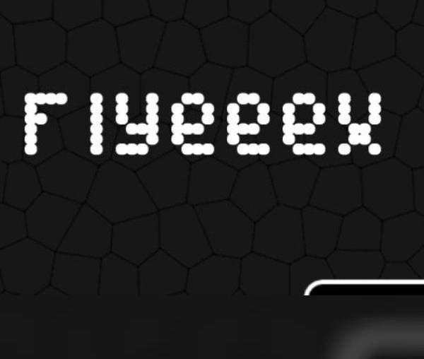 Flyeeex PC Steam Key