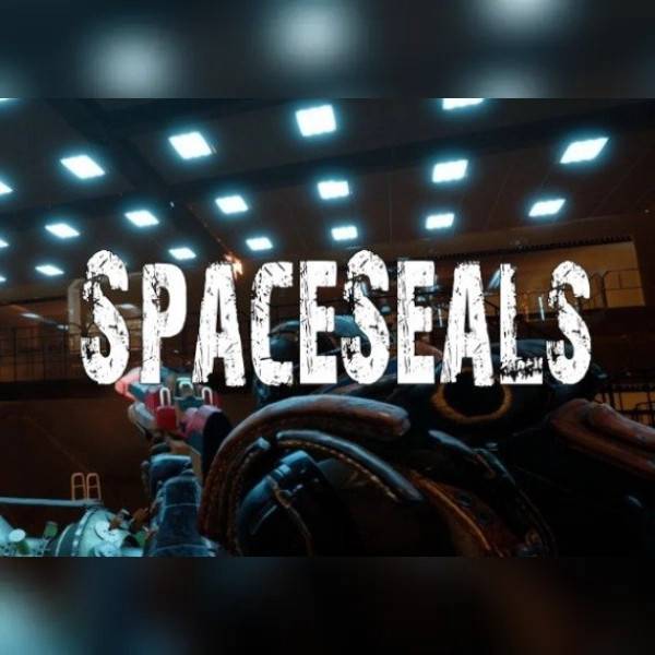 SpaceSeals PC Steam Key