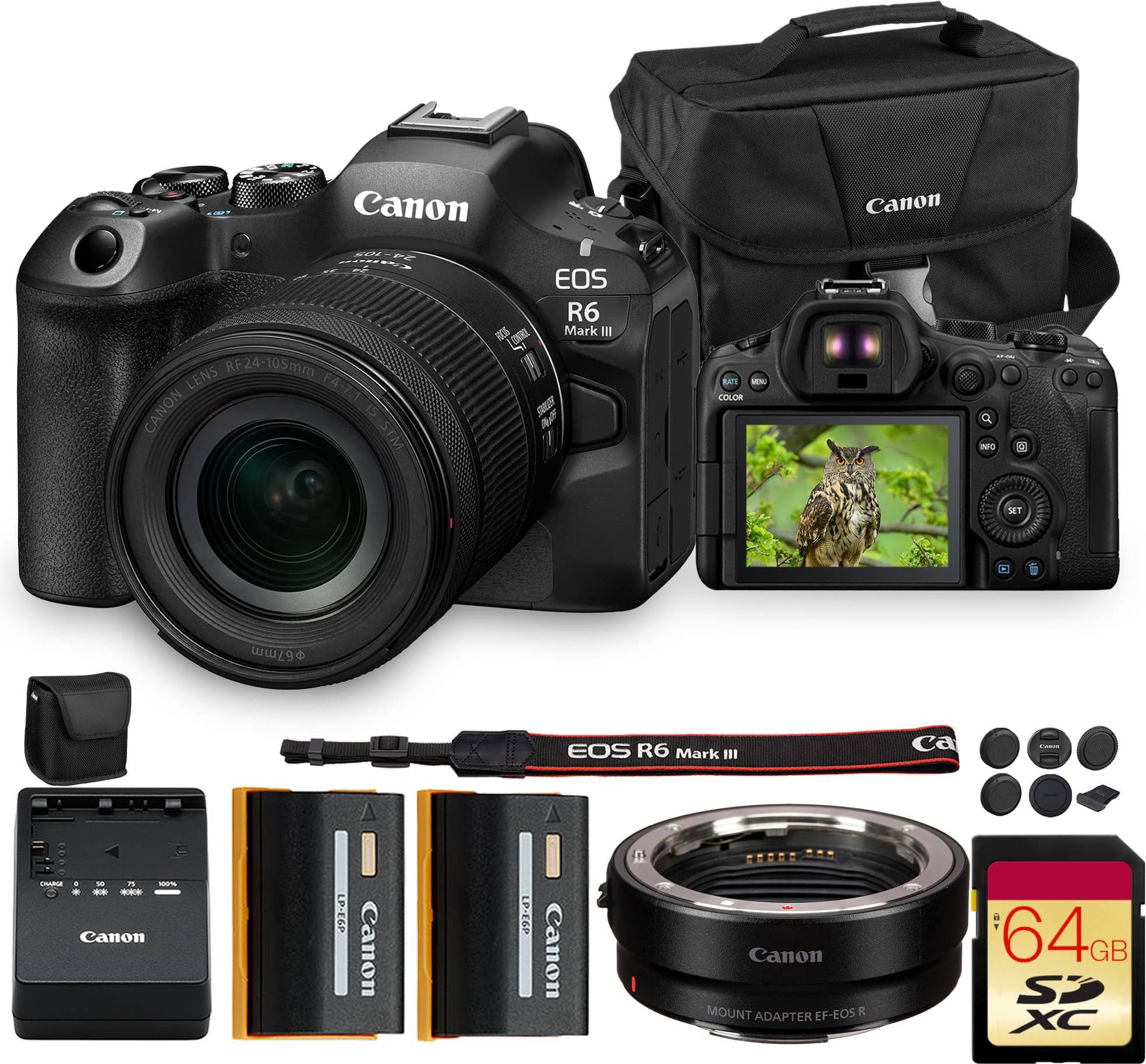 Canon eos r6 Canon EOS R6 Mark III Mirrorless Camera
