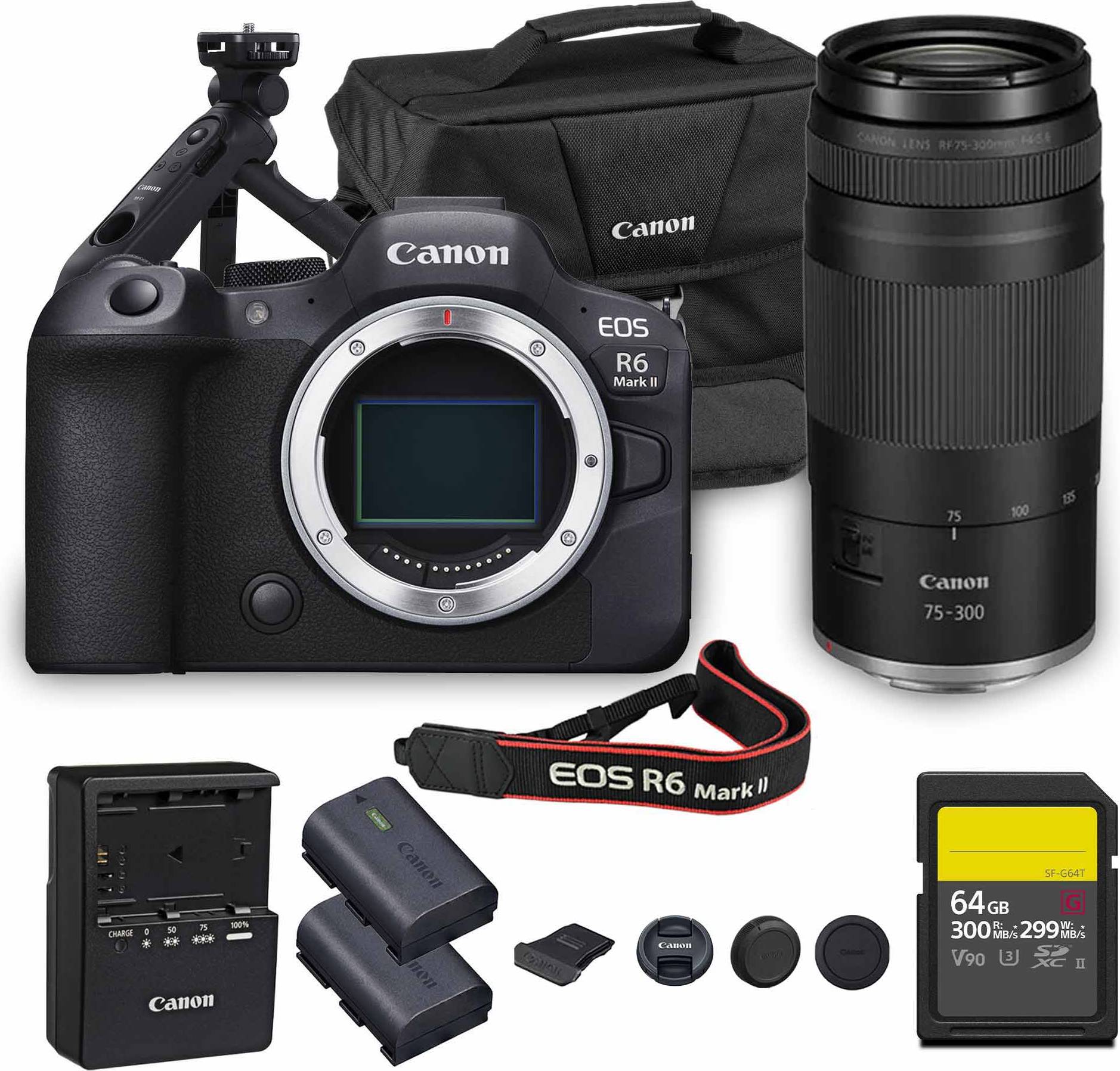 Canon r6 2 camera Canon EOS R6 Mark II Mirrorless Camera