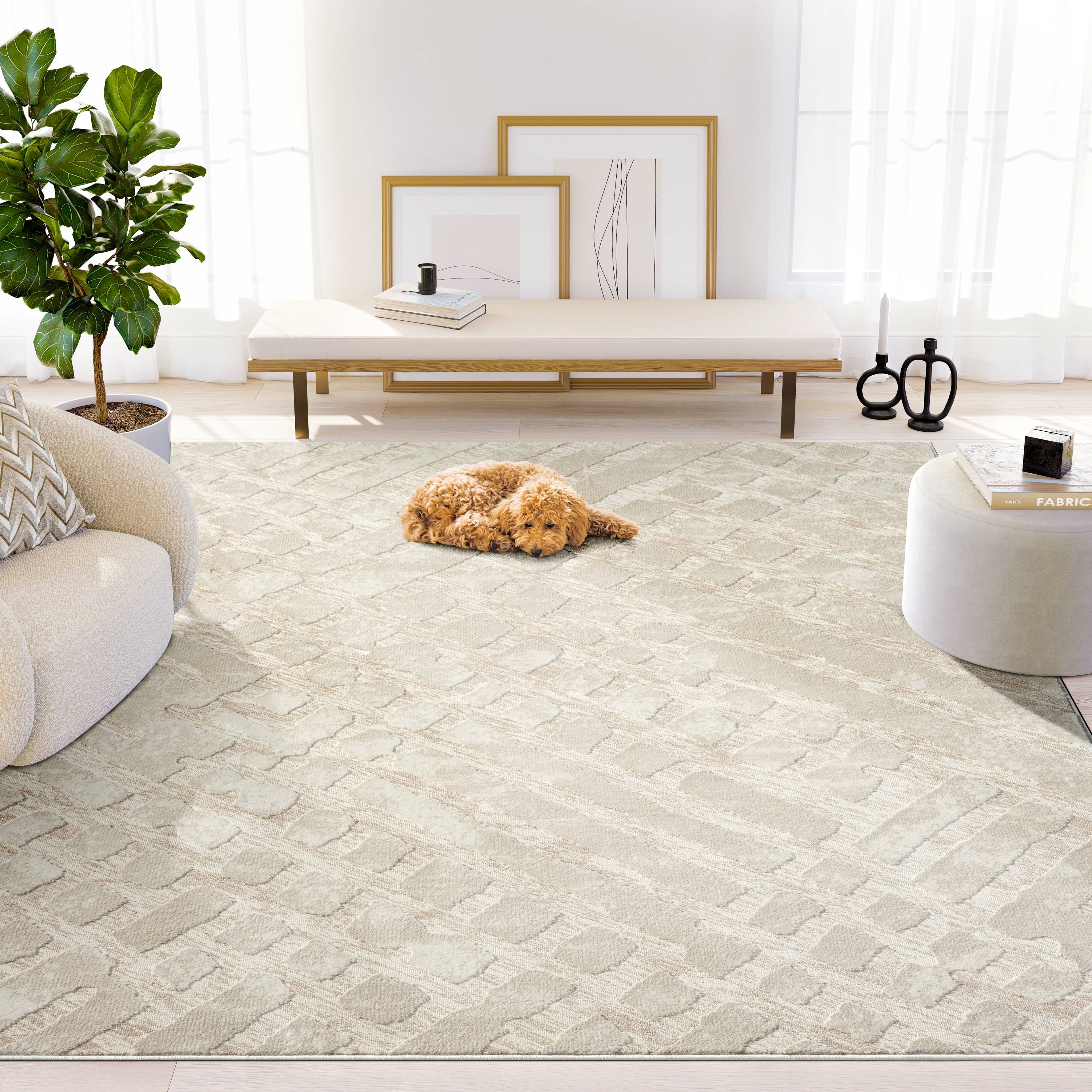 Cream Rustic Geometric Modern Area Rug 2 x 3 ft