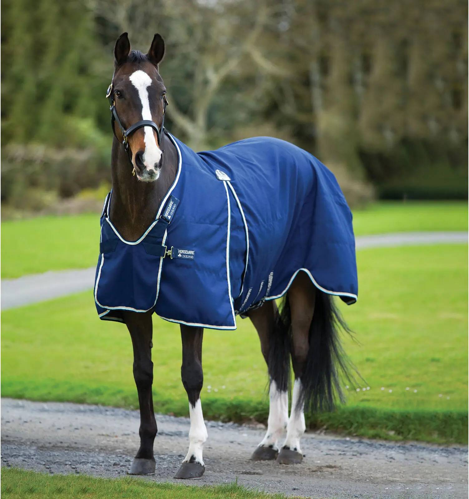 Rambo optimo Horseware Rambo Optimo Sheet Stable Blanket