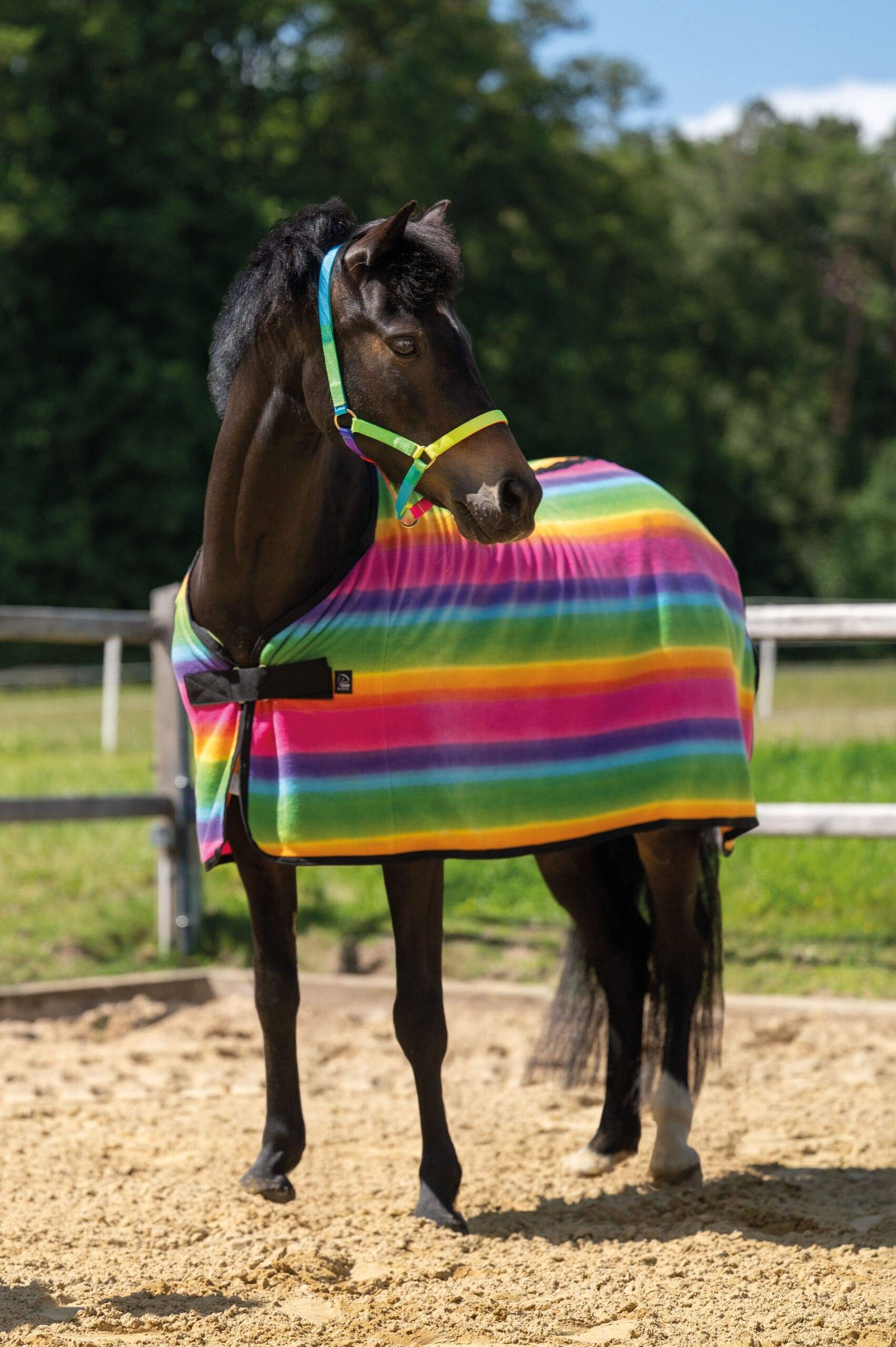 Sweat Rug for Shetland Rainbow