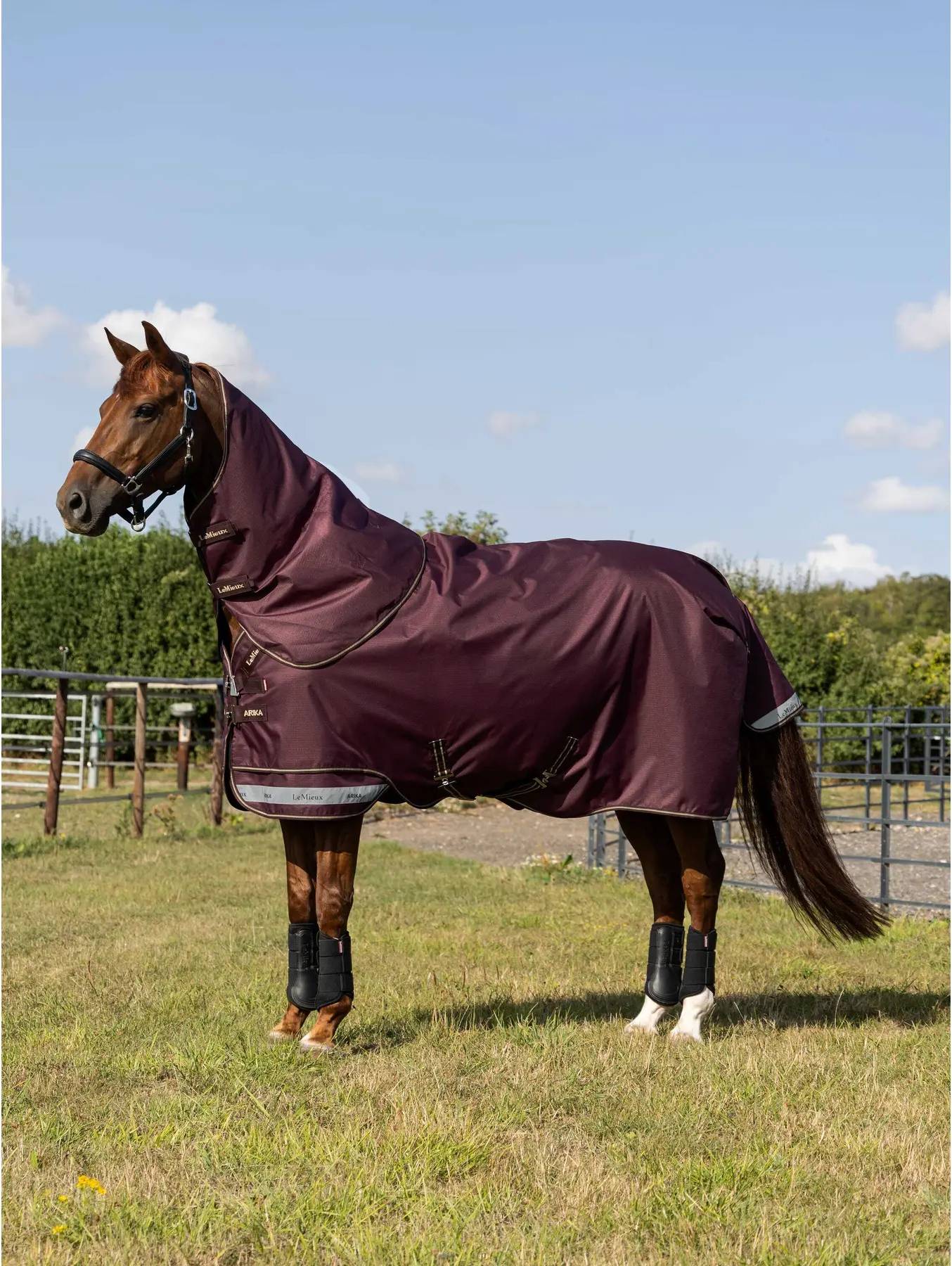 LeMieux Arika Ripstop 0g Turnout Rug - Bramble
