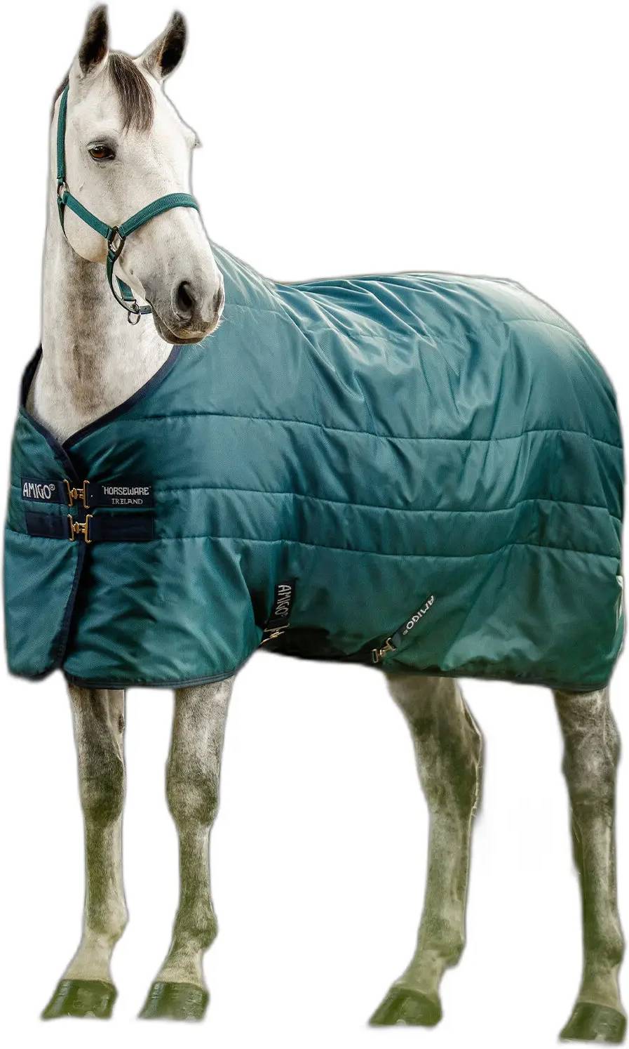 Stable Blanket Amigo Ripstop Insulator
