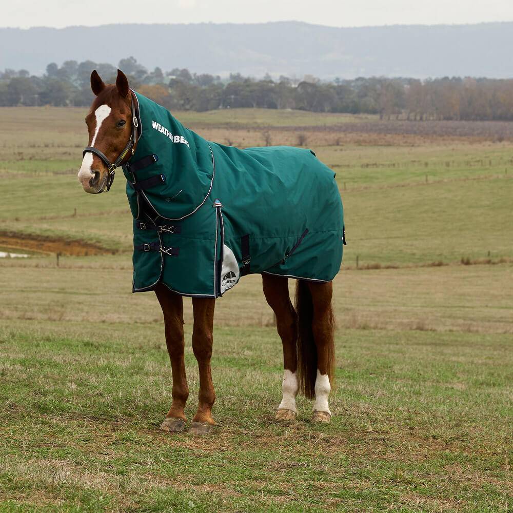 Weatherbeeta Removable Neck Outdoor Horse Rug Comfitec Plus Dynamic