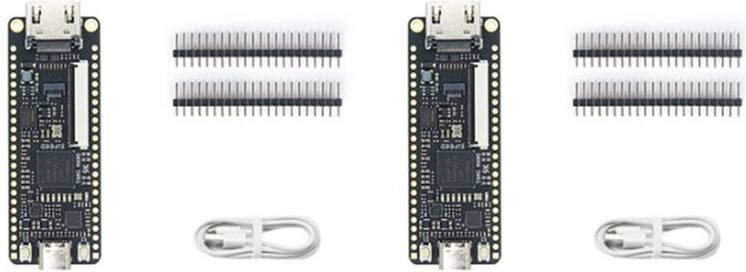 Typecat 2X Tang 9K FPGA Development Board Kit