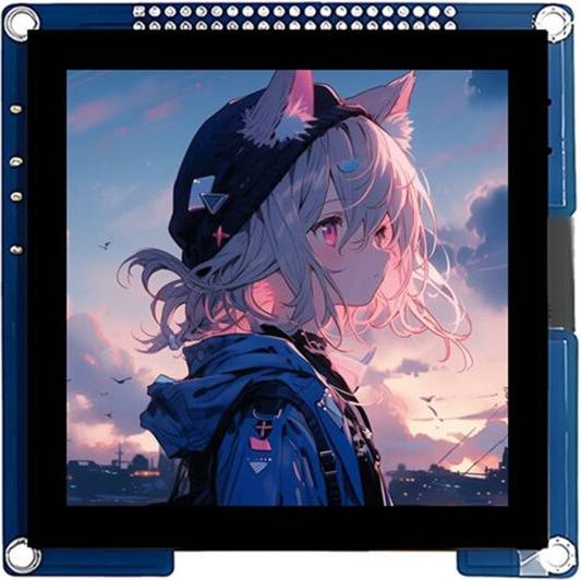 Exogio ESP32-S3 Development Board IPS Capacitive Touch Display Screen