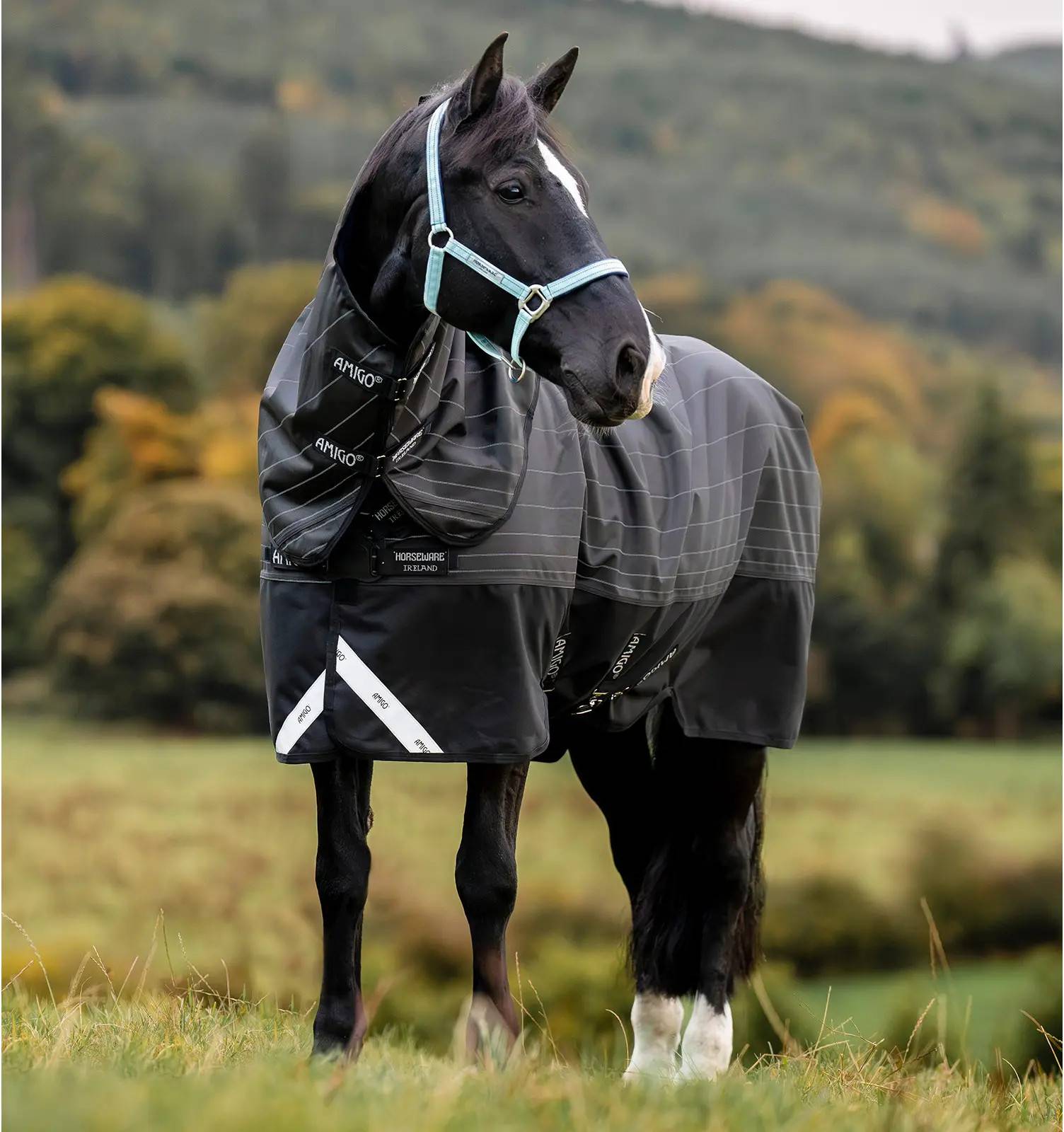 Outdoor rug Horseware FieldSafe Reflectech Waterproof Outdoor Rug 250g